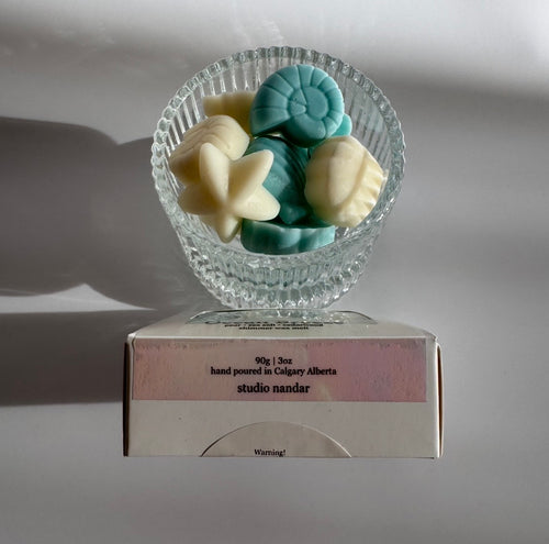 Ocean Breeze - Shimmer Wax Melt